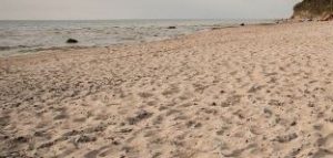 Beach sand website