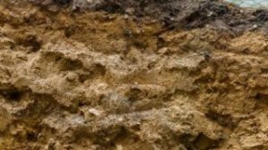 Subsoil- Website Subsoil website
