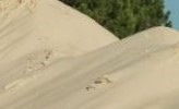 Masonry and concrete sand web